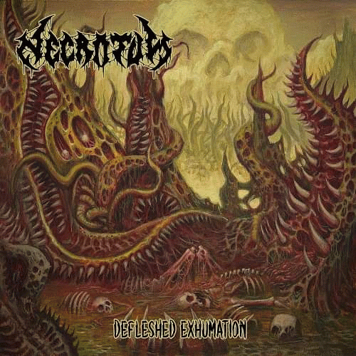 Necrotum : Defleshed Exhumation